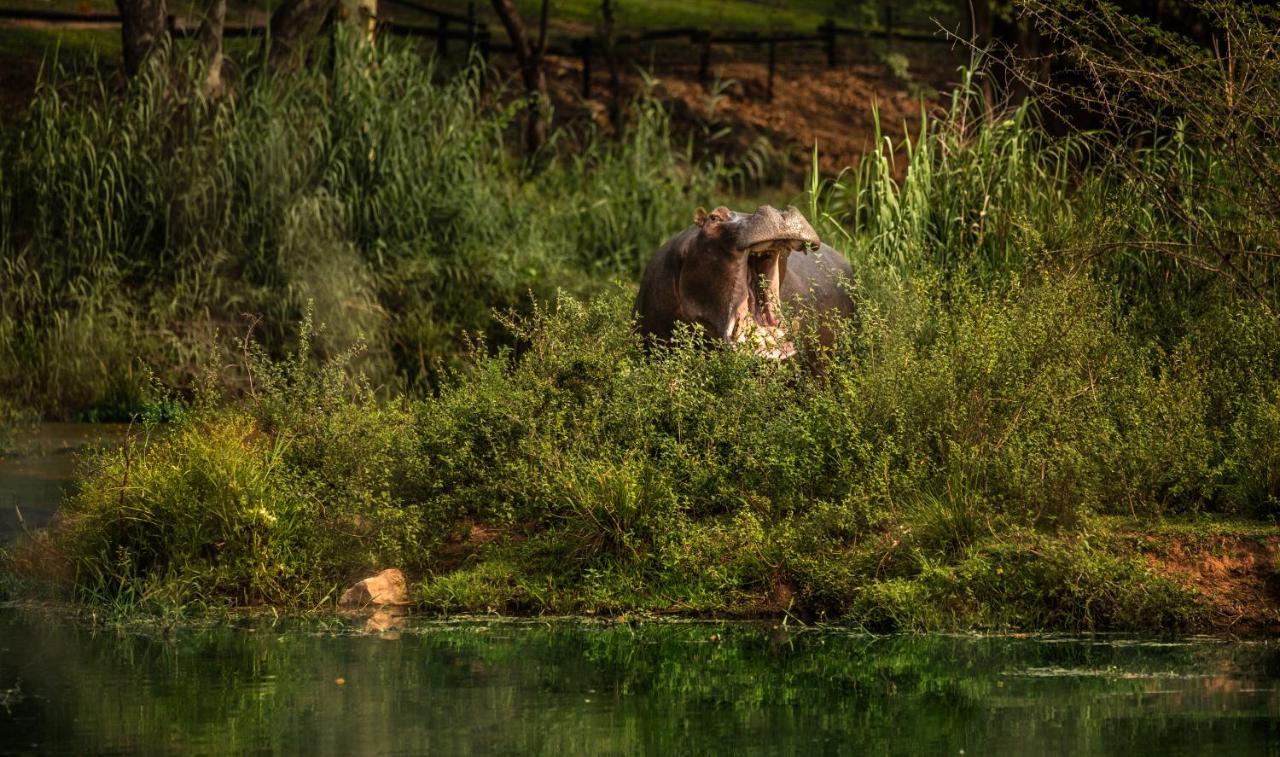 Sabi River Sun Resort Hazyview Zewnętrze zdjęcie