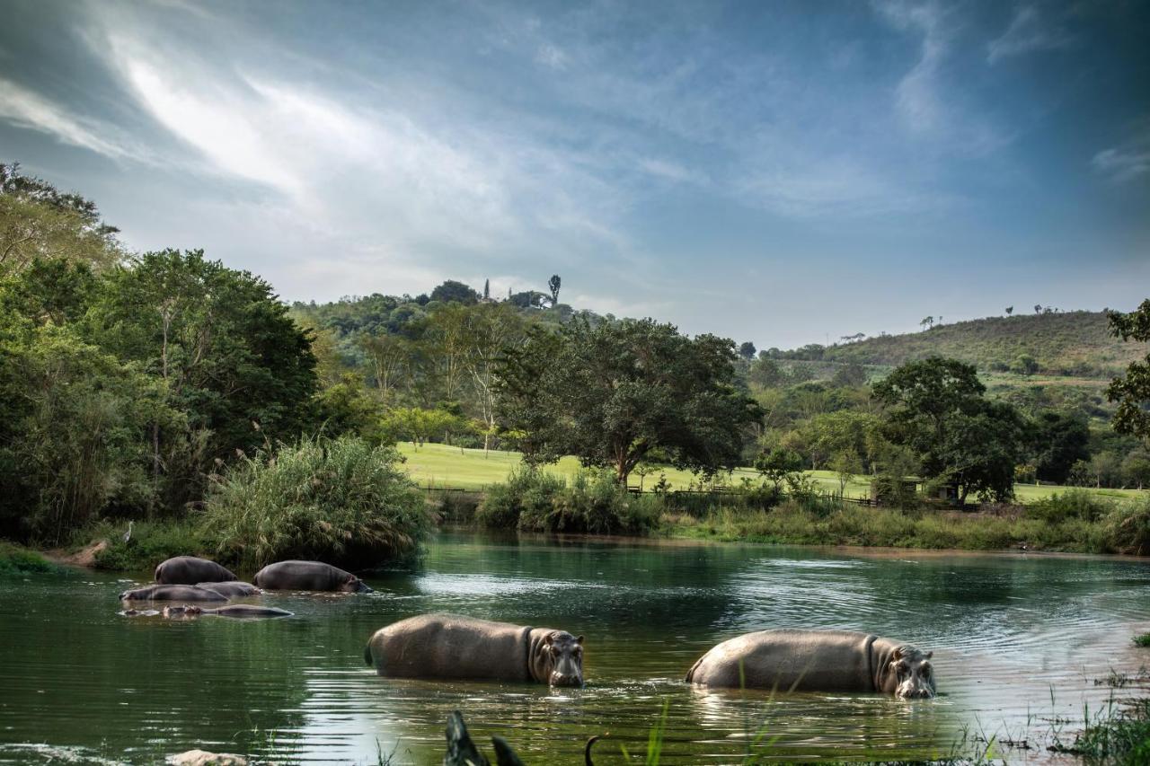 Sabi River Sun Resort Hazyview Zewnętrze zdjęcie