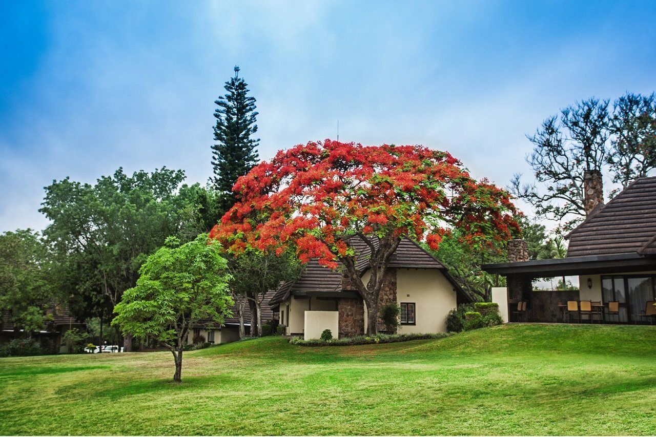 Sabi River Sun Resort Hazyview Zewnętrze zdjęcie